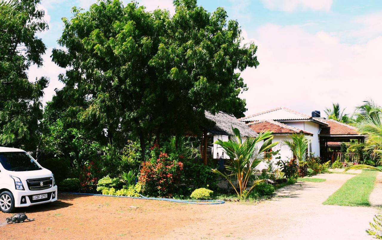 Prime Surfers Bungalow Arugam Bay Kültér fotó