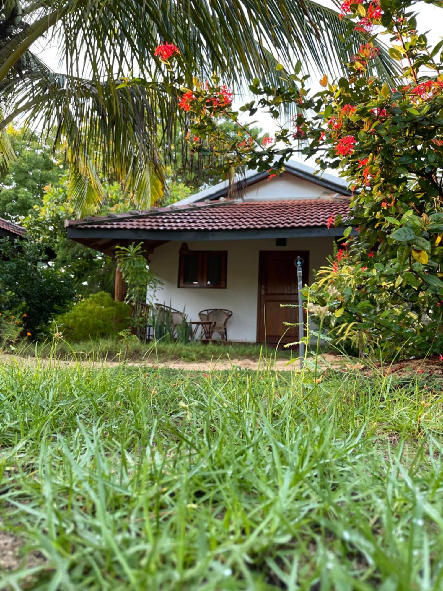 Prime Surfers Bungalow Arugam Bay Kültér fotó